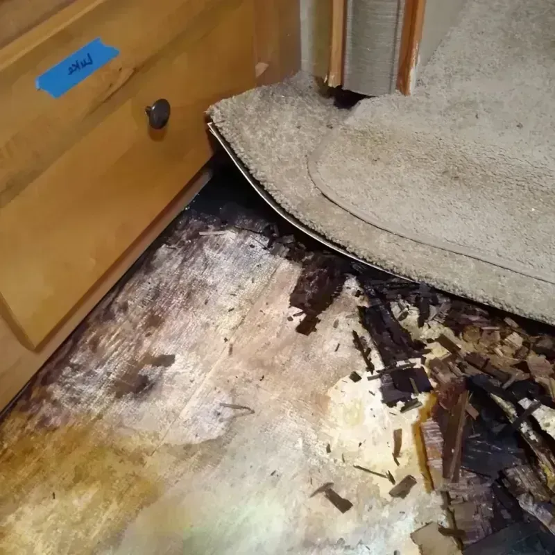 Wood Floor Water Damage in Pocahontas, AR